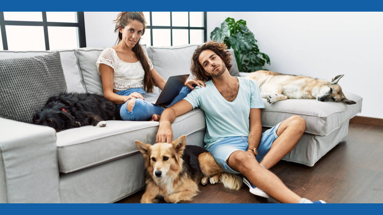 Why is My Couch So Messy Looking?