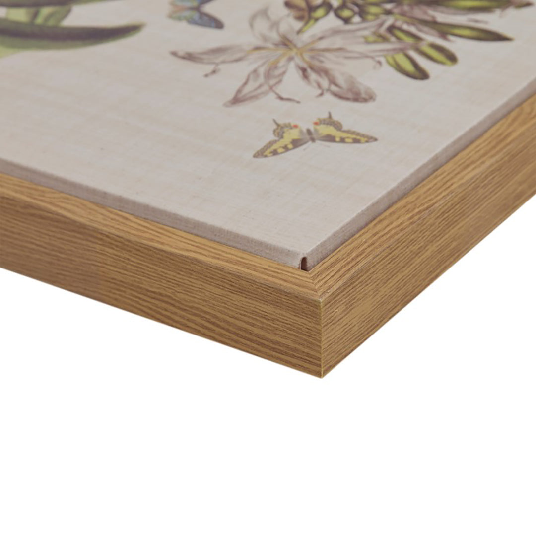 Herbal Botany (Set of 4)