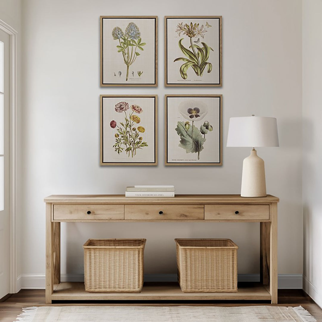 Herbal Botany (Set of 4)