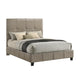 Luna Upholstered Bed - Queen