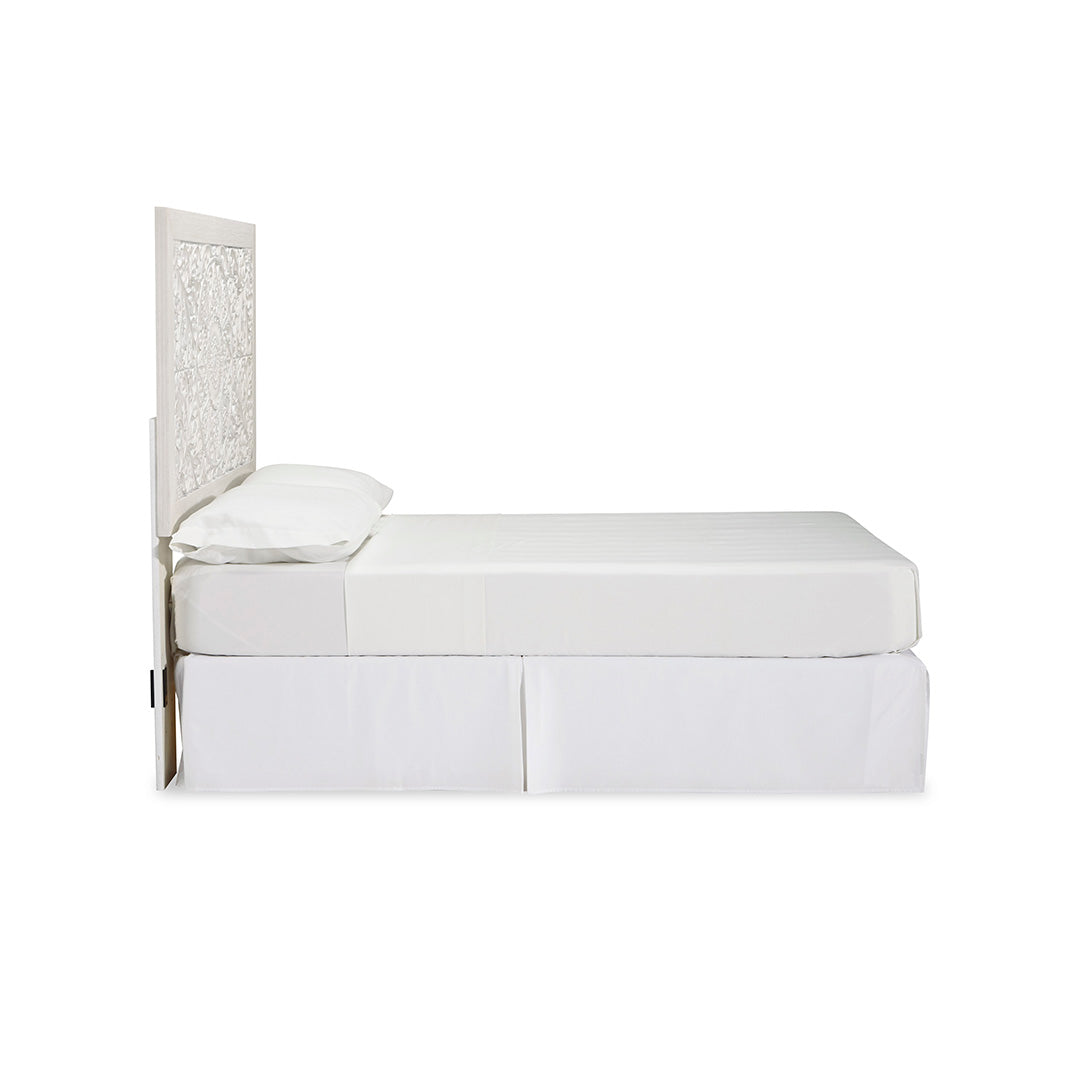 Cabecera Paxberry únicamente