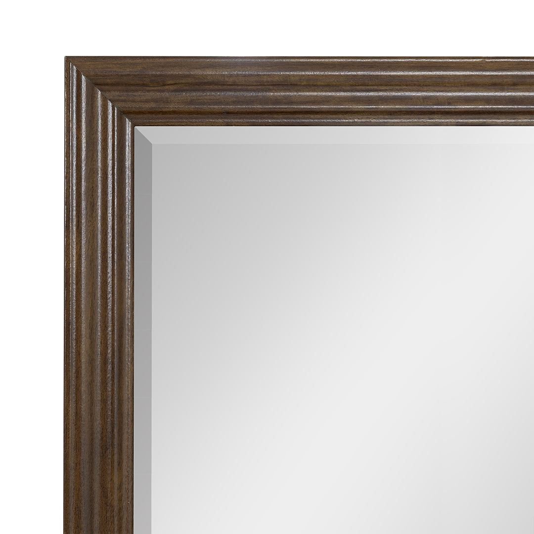 Blackwater Falls Mirror