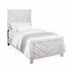 Cama Cayne