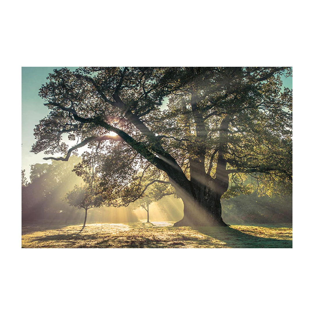 Breaking Through