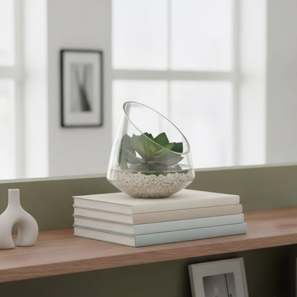 Echeveria in Glass