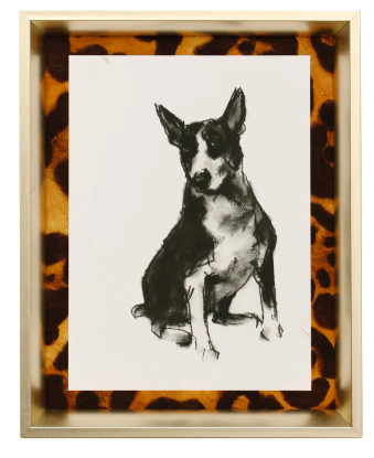 Perro moderno II