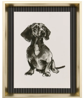 Modern Dog IV