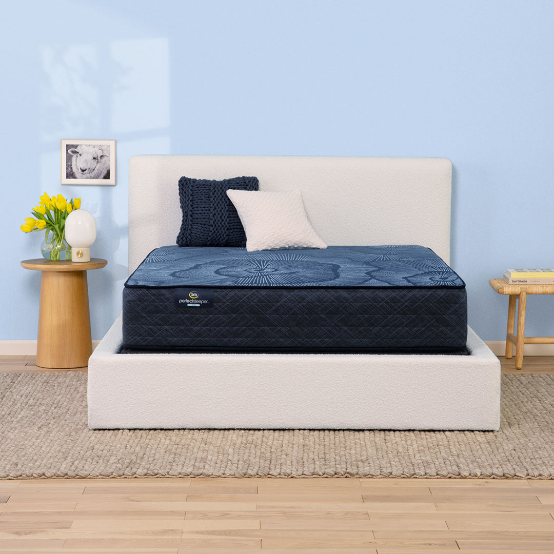 Delani Dreams Firm Perfect Sleeper Mattress