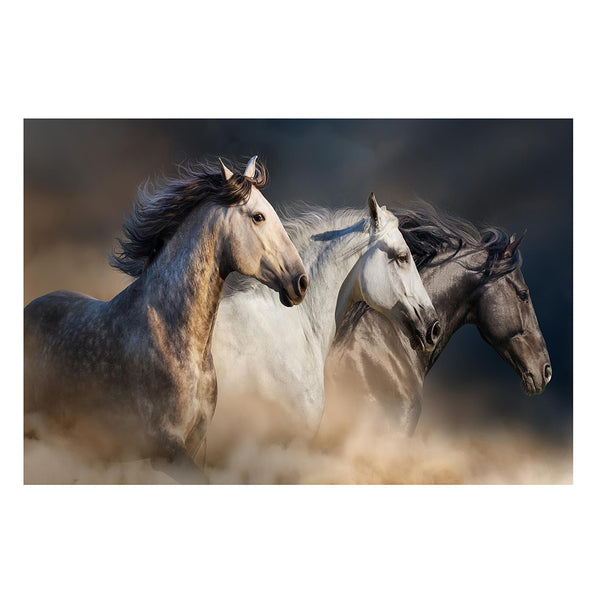 Tres caballos