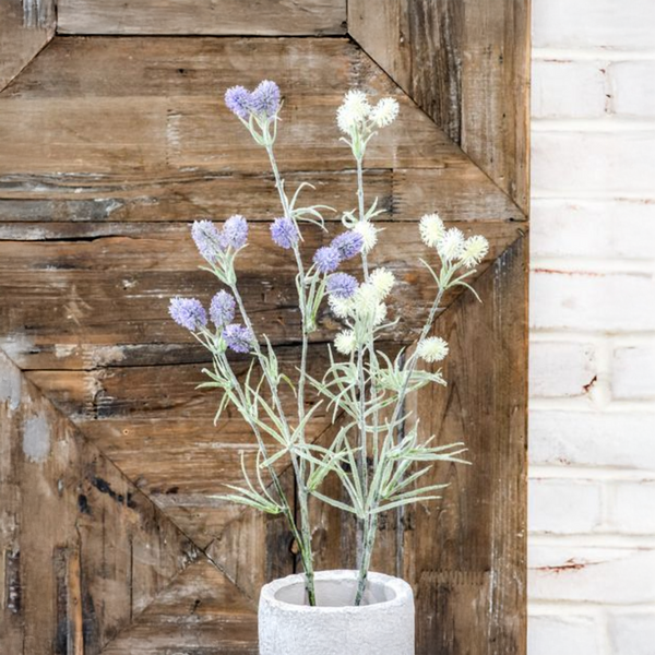 Assorted Stems