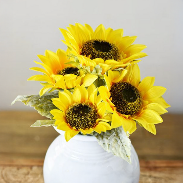 Sunflower Stem