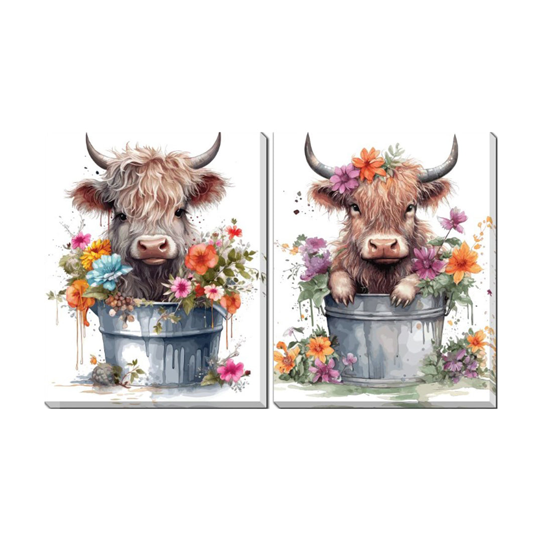 Vaca bebé de las Tierras Altas (juego de 2)