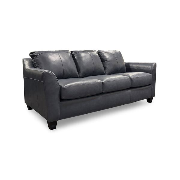 Josh Leather Sofa and Loveseat