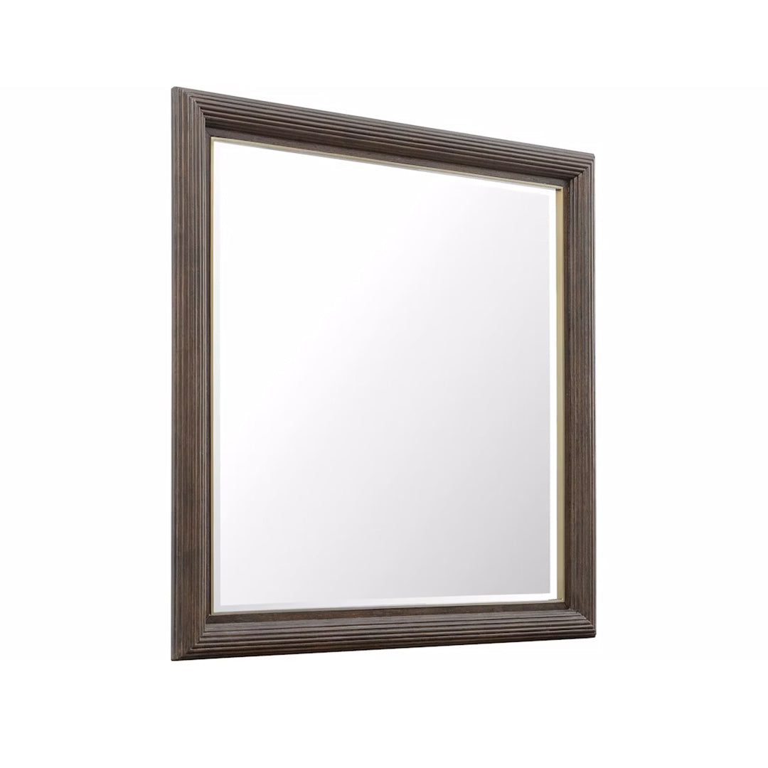 Espejo del parque Asher