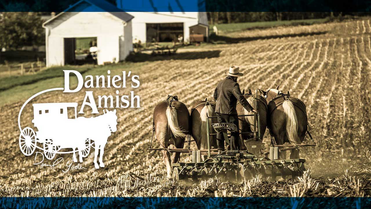 Daniel's Amish: Sustainable Furniture Committed to Protecting the Environment