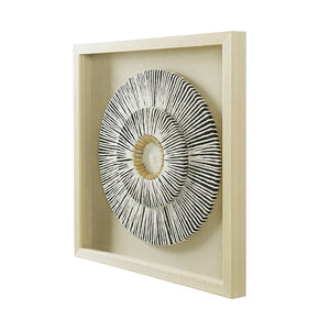 Paper Shell Disk Shadow Box