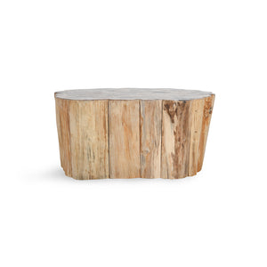 Norwest Petrified Wood Coffee Table