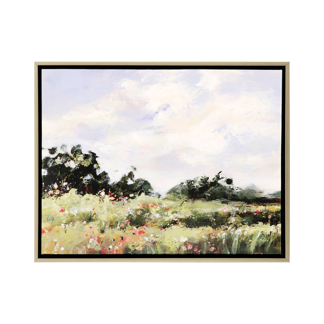 Wildflower Meadow