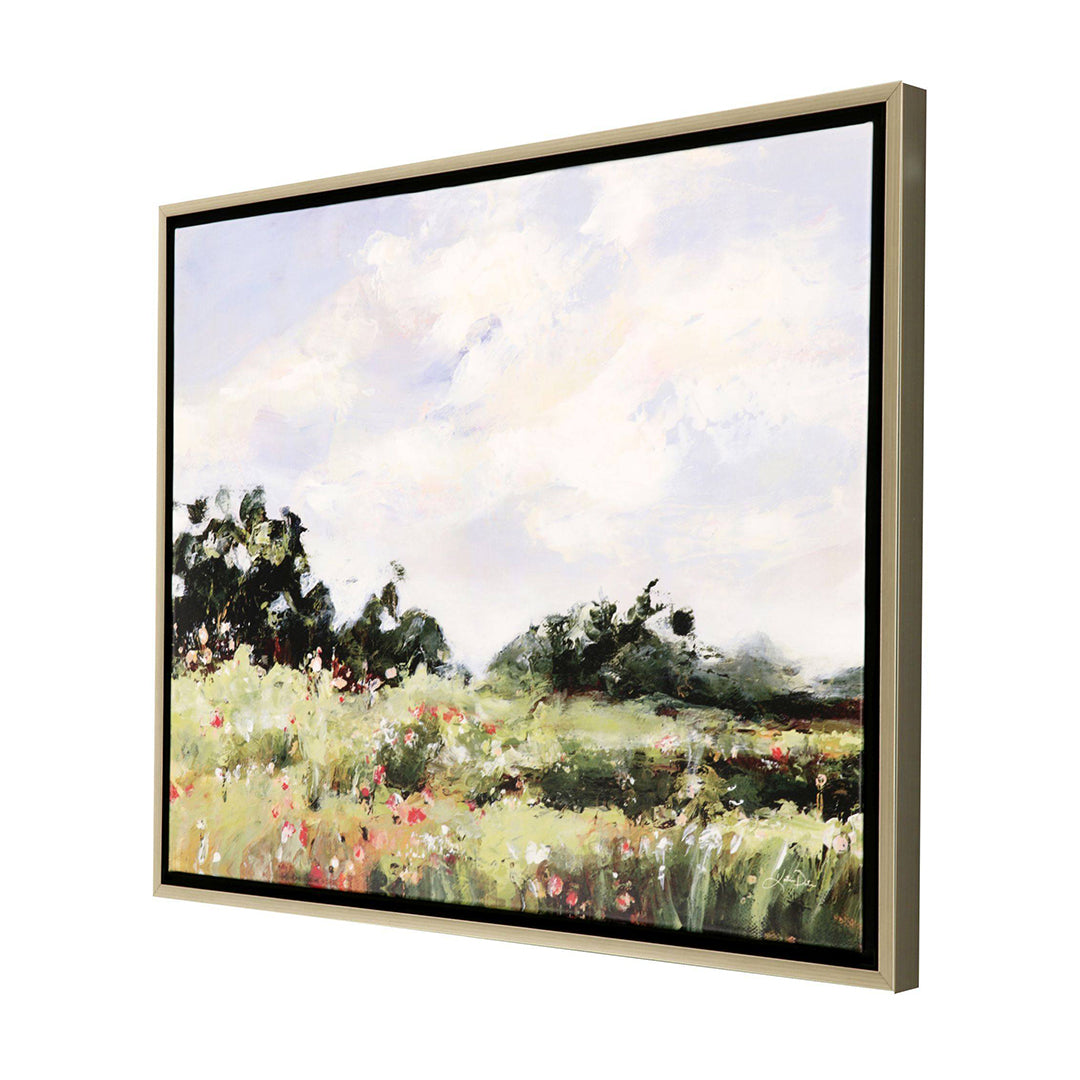 Wildflower Meadow