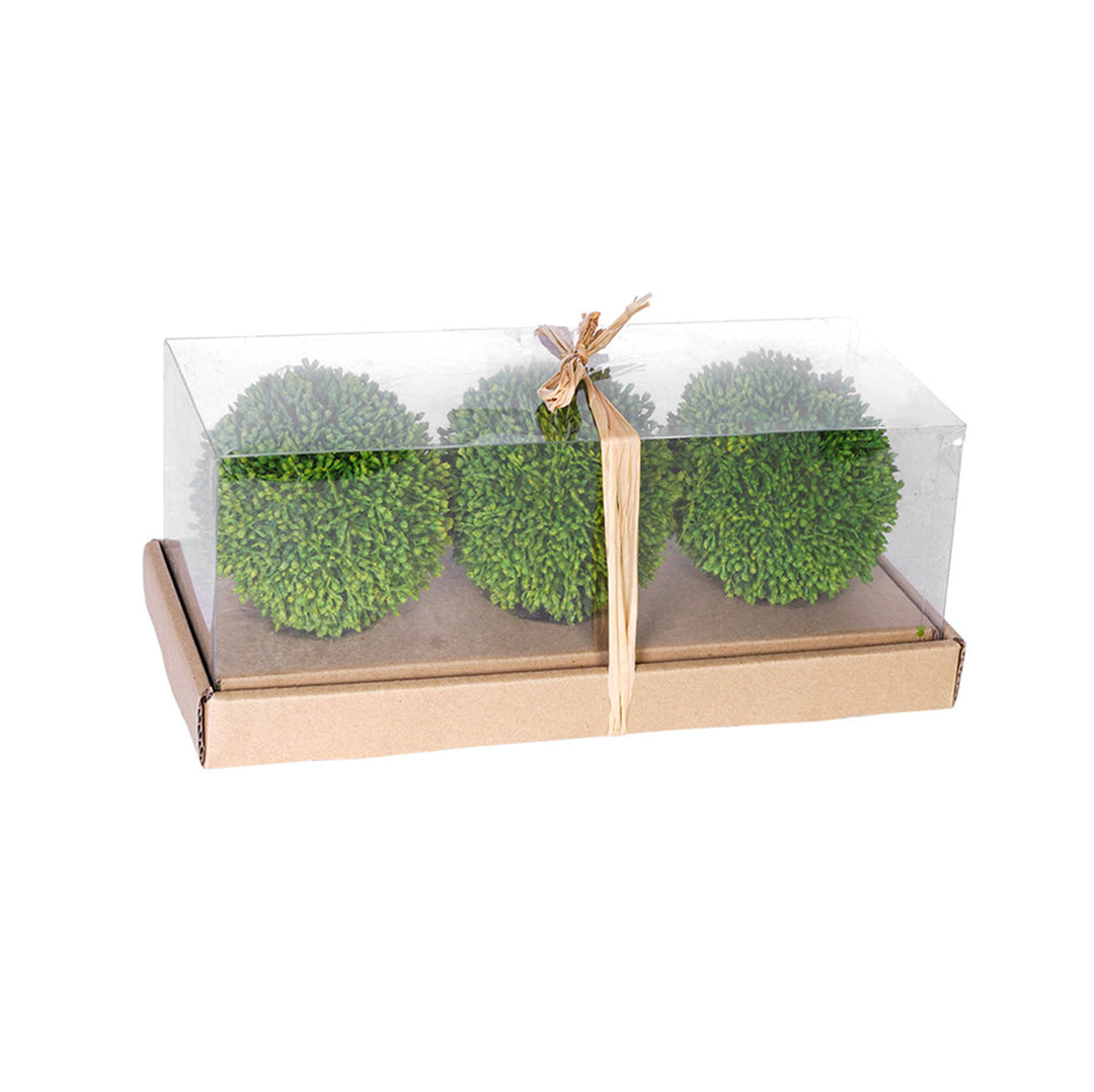 Boxwood Decorative Spheres