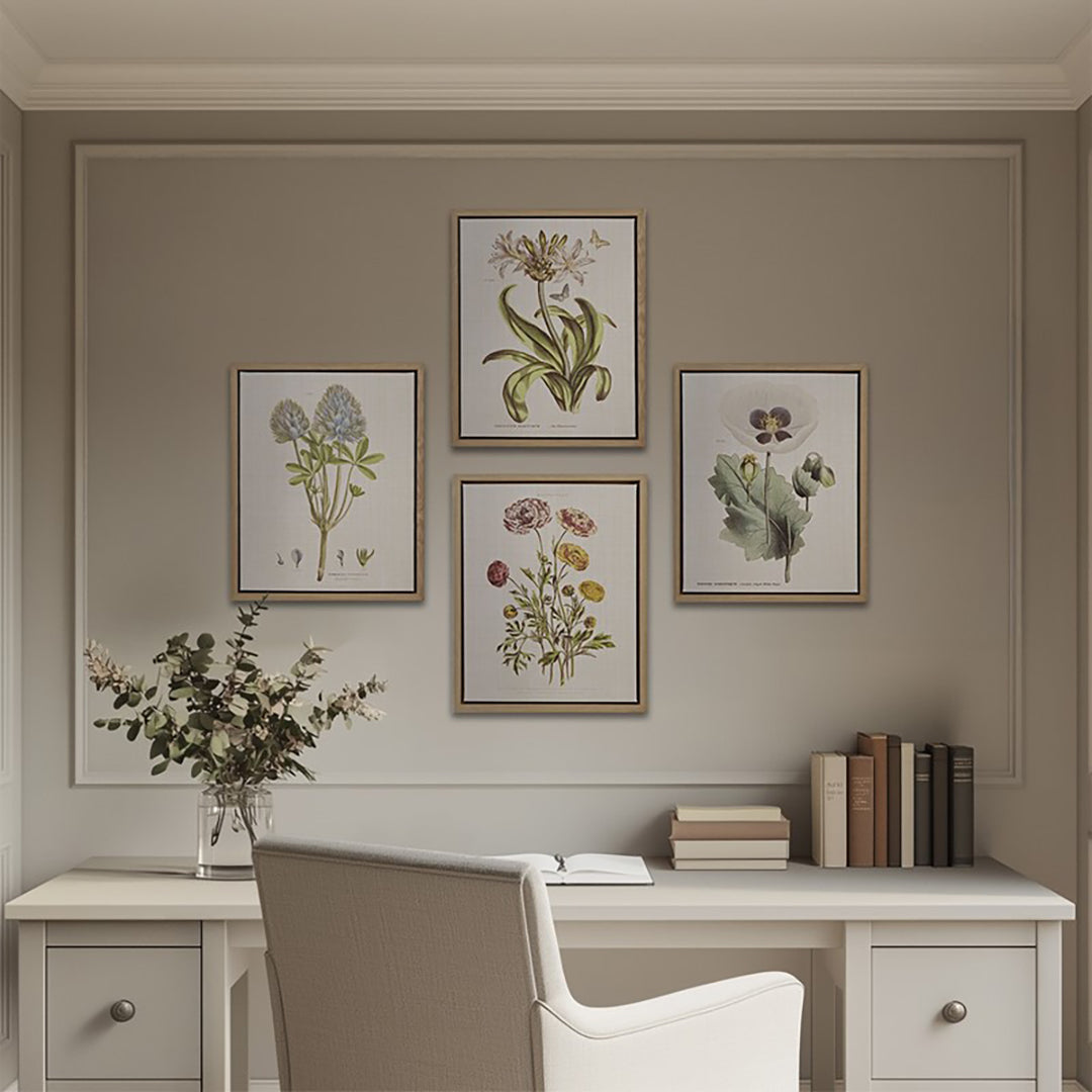 Herbal Botany (Set of 4)