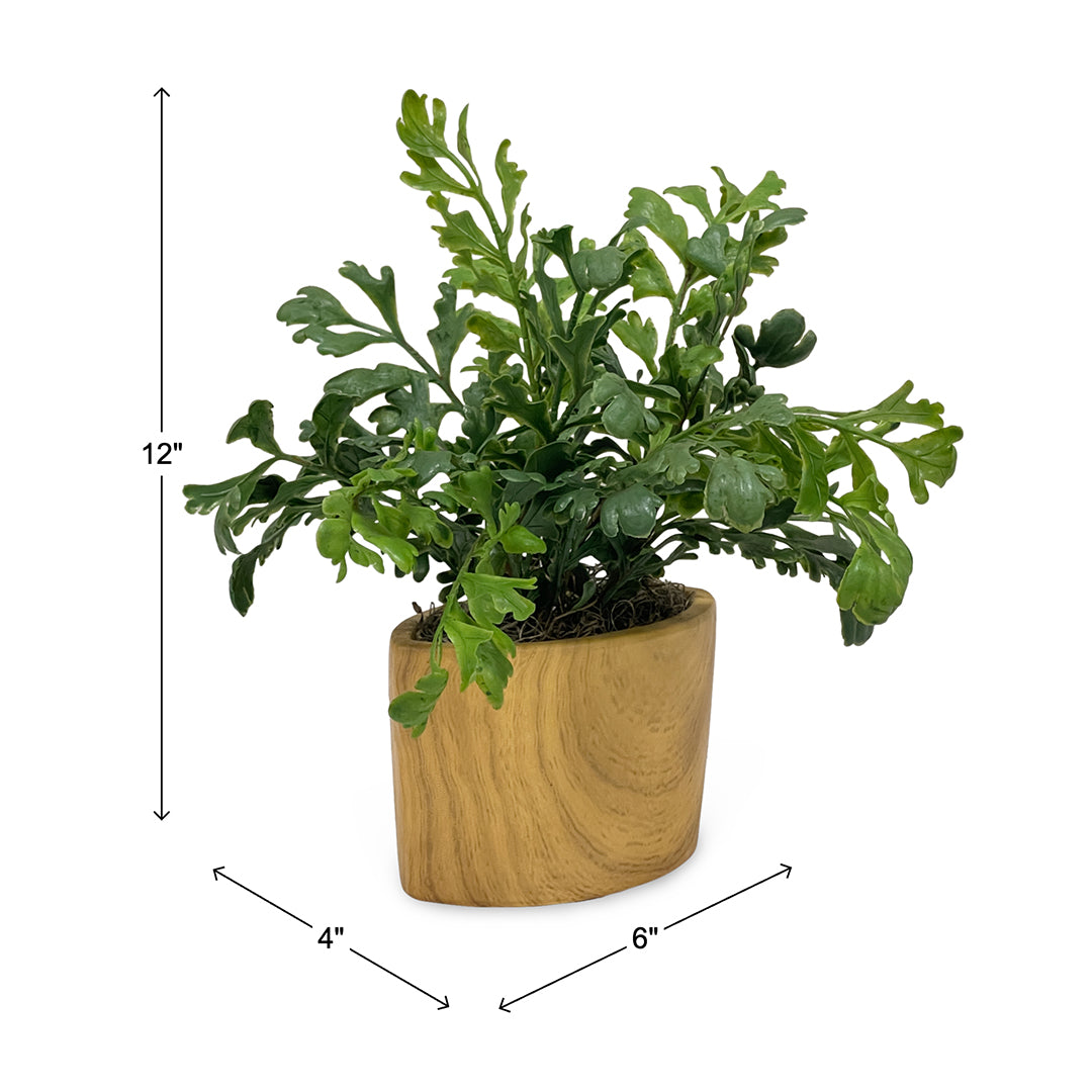 Assorted Greenery in Ceramic Vase