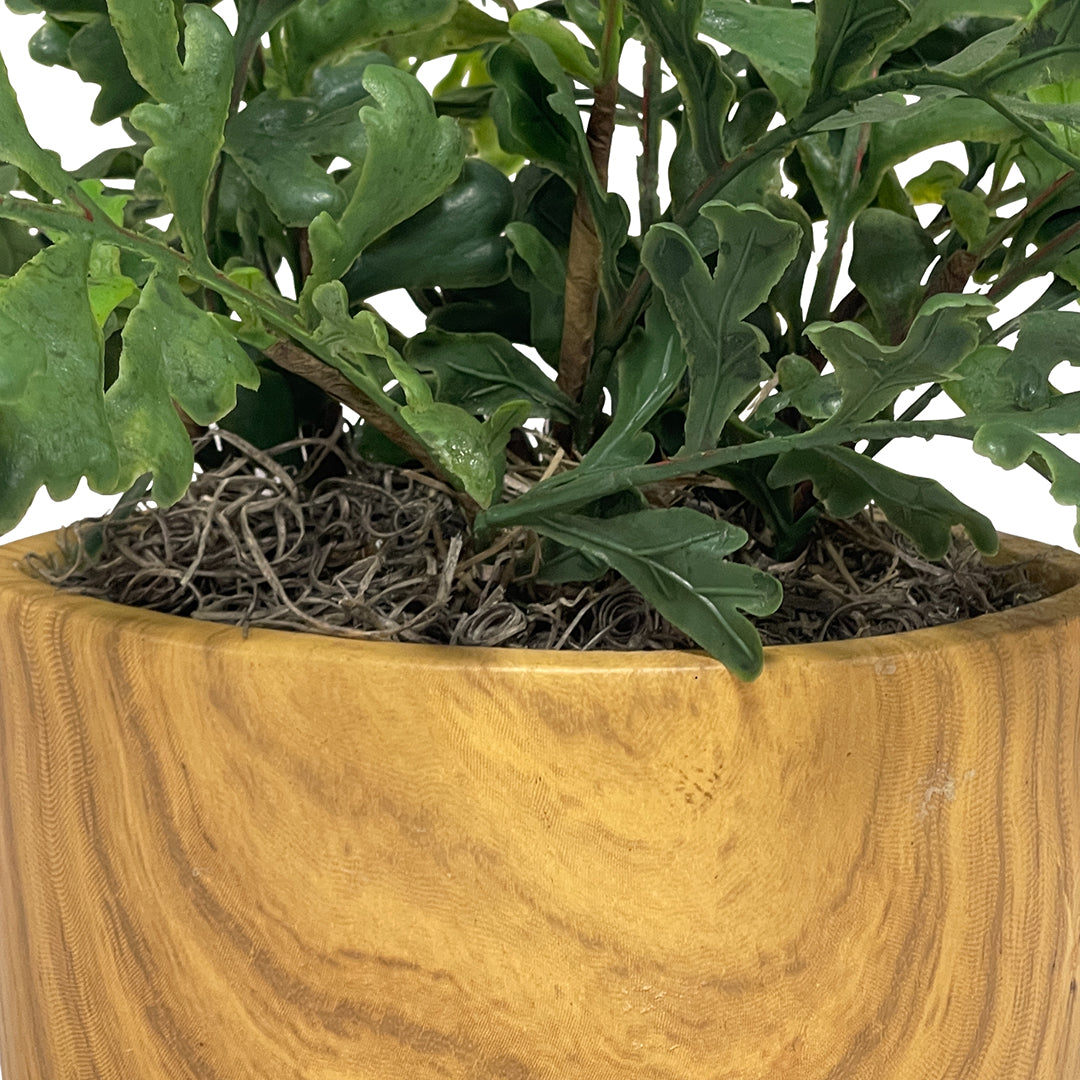 Assorted Greenery in Ceramic Vase