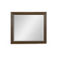 Blackwater Falls Mirror