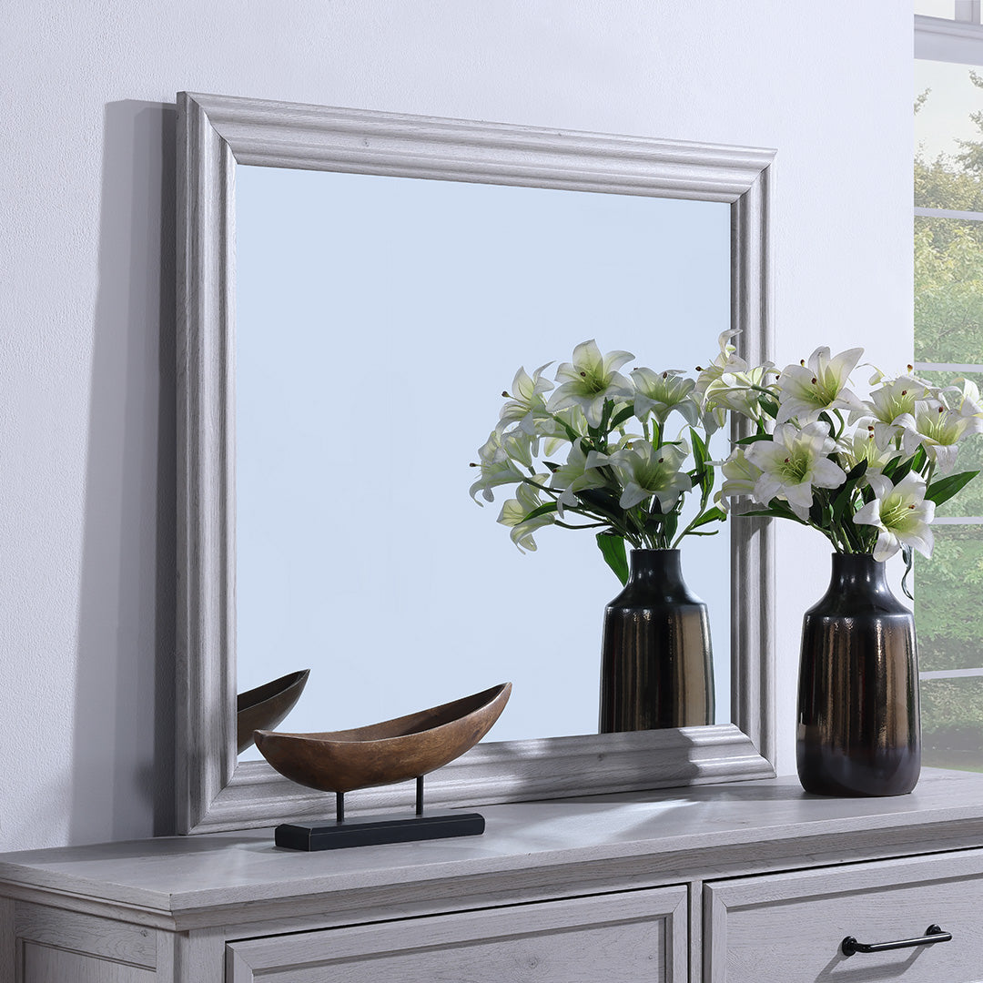 Blackwater Falls Mirror