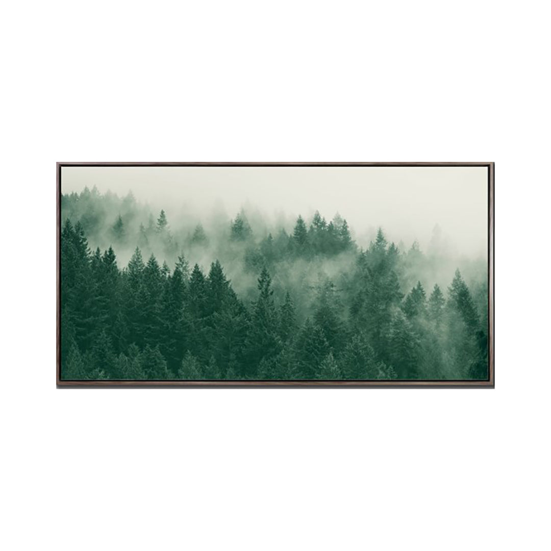Bosque Esmeralda 