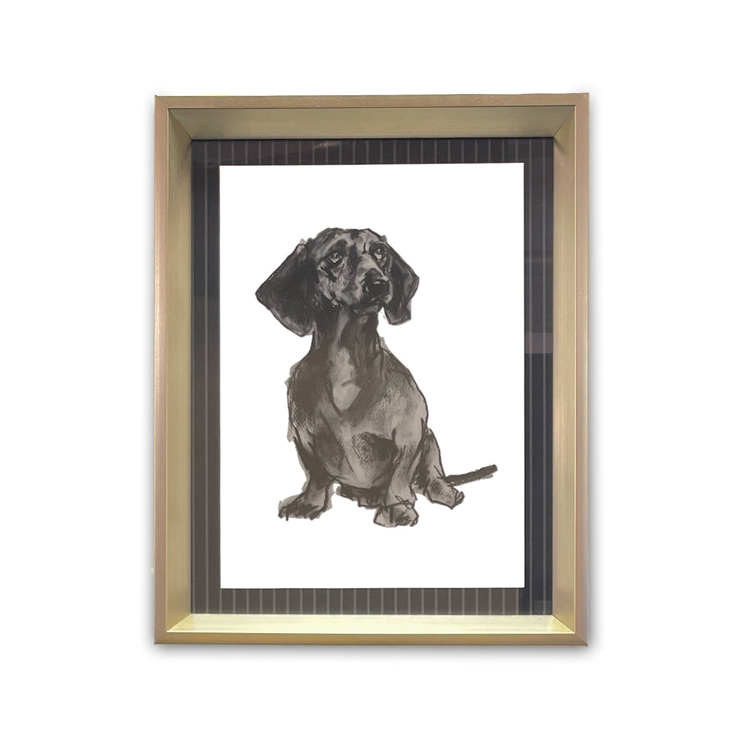 Modern Dog IV