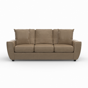 Chicago Sofa and Loveseat