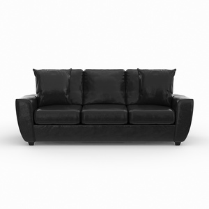 Chicago Sofa and Loveseat