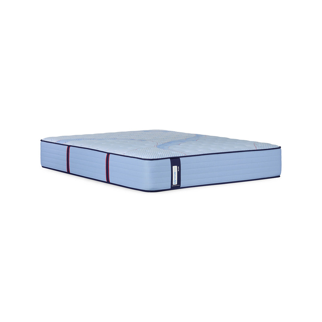 Paterson Plush Mattress from Sealy in Queen Innerspring - Overhead view