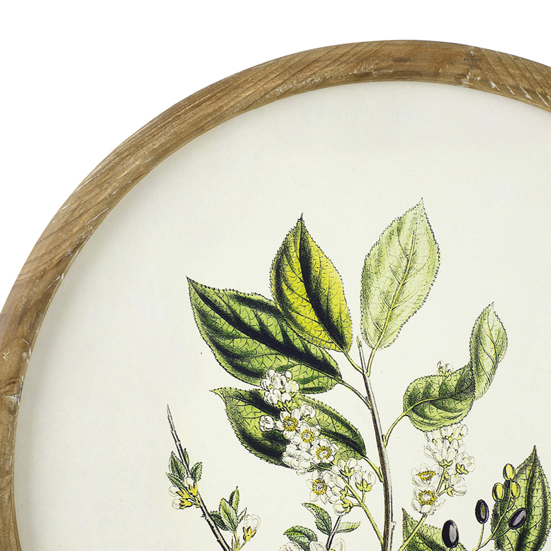 Flora Round Prints (Set of 4)