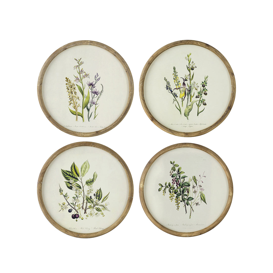 Flora Round Prints (Set of 4)