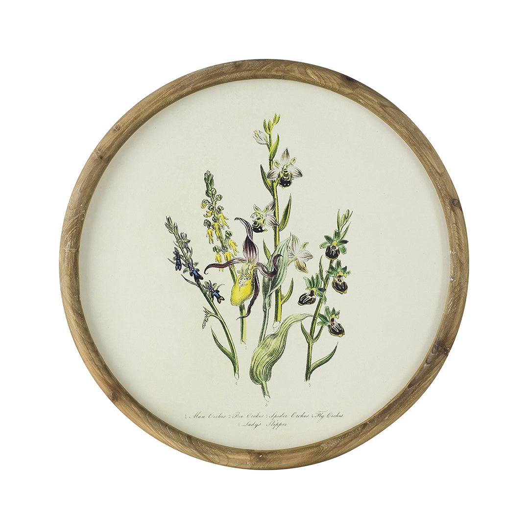 Flora Round Prints (Set of 4)