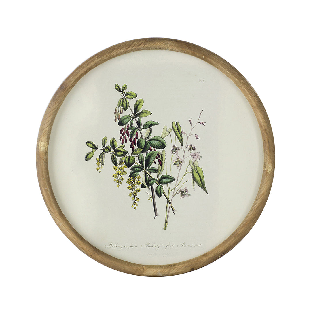 Flora Round Prints (Set of 4)