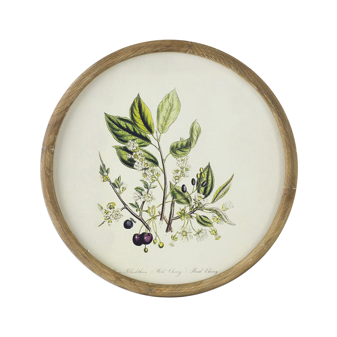 Flora Round Prints (Set of 4)