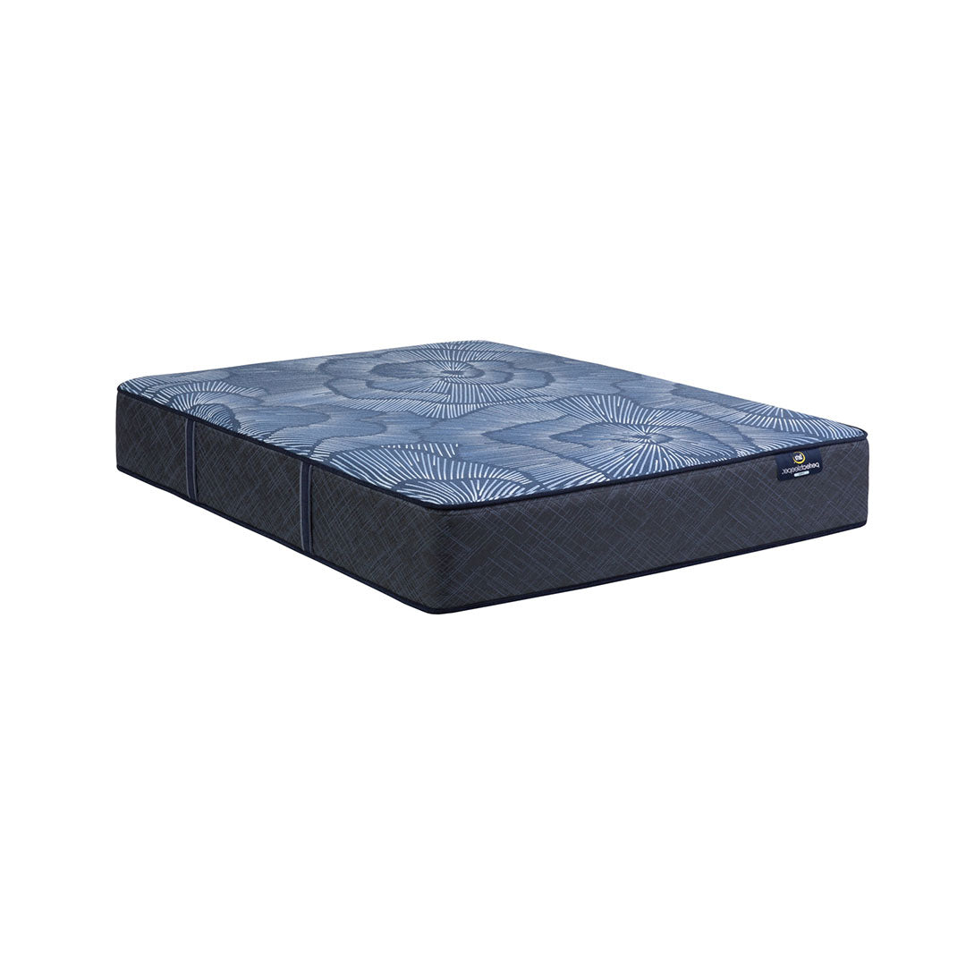 Delani Dreams Firm Perfect Sleeper Mattress