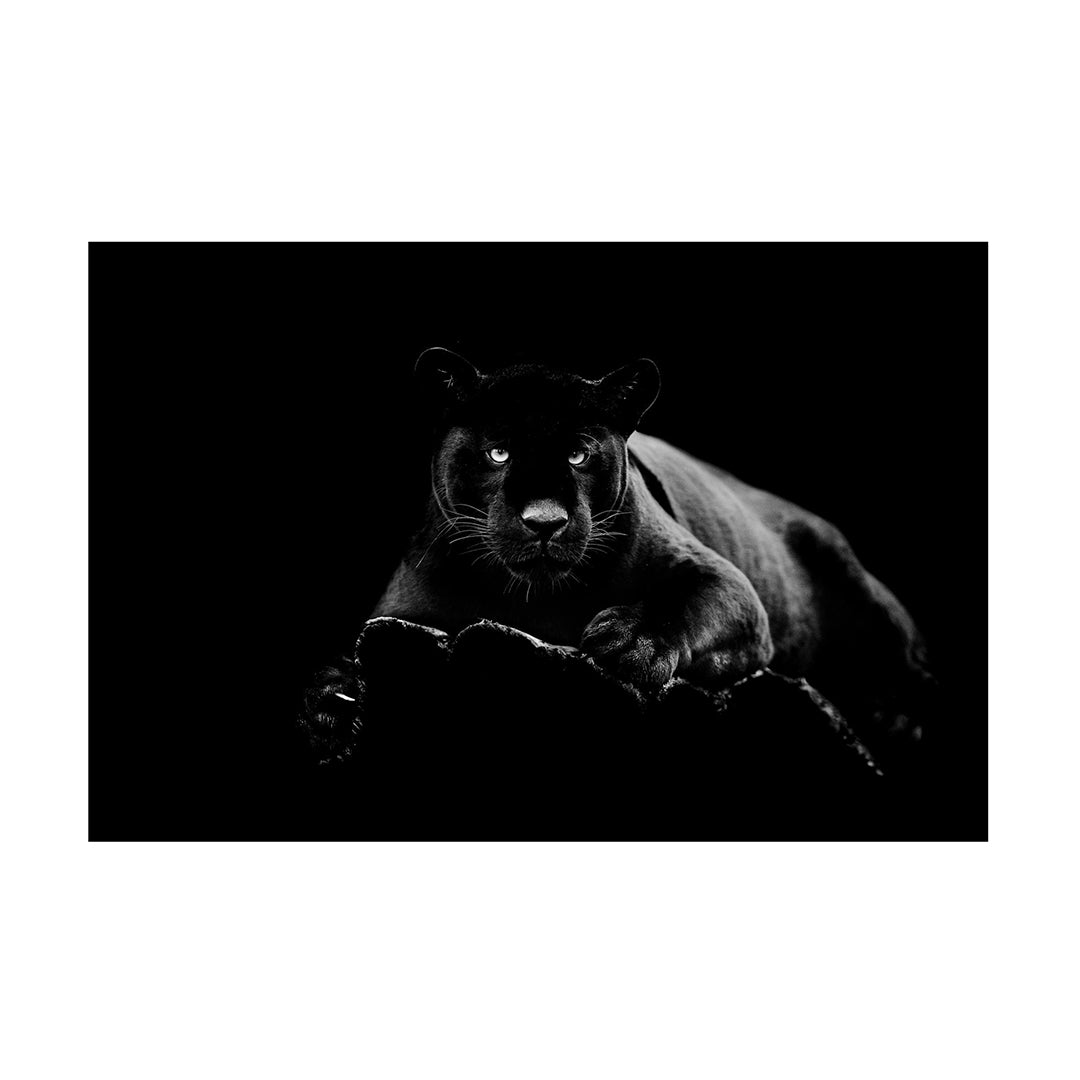 Glass Black Panther