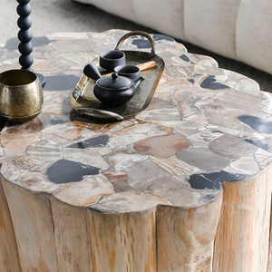 Norwest Petrified Wood Coffee Table