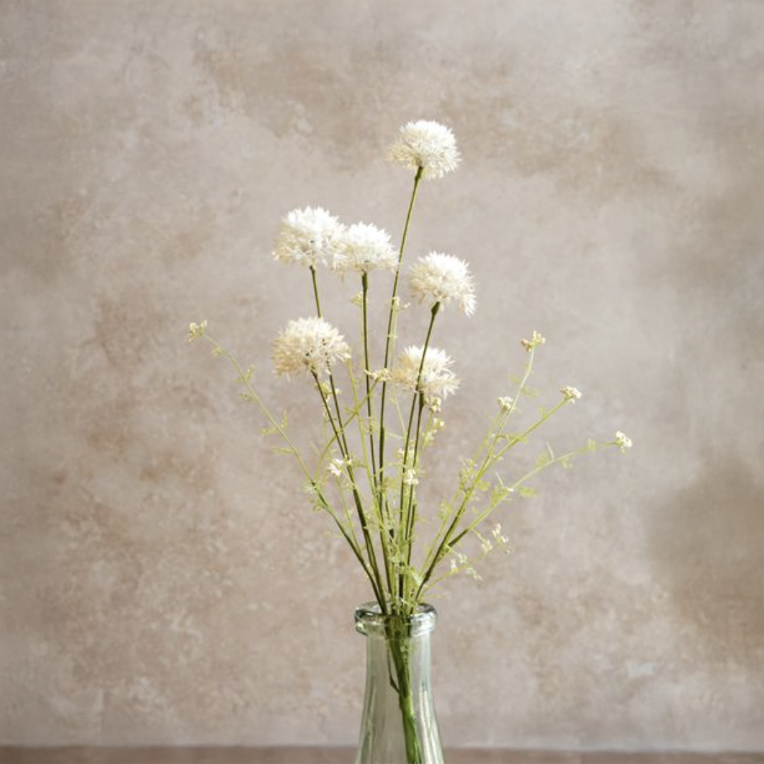 White Dandelion Spray