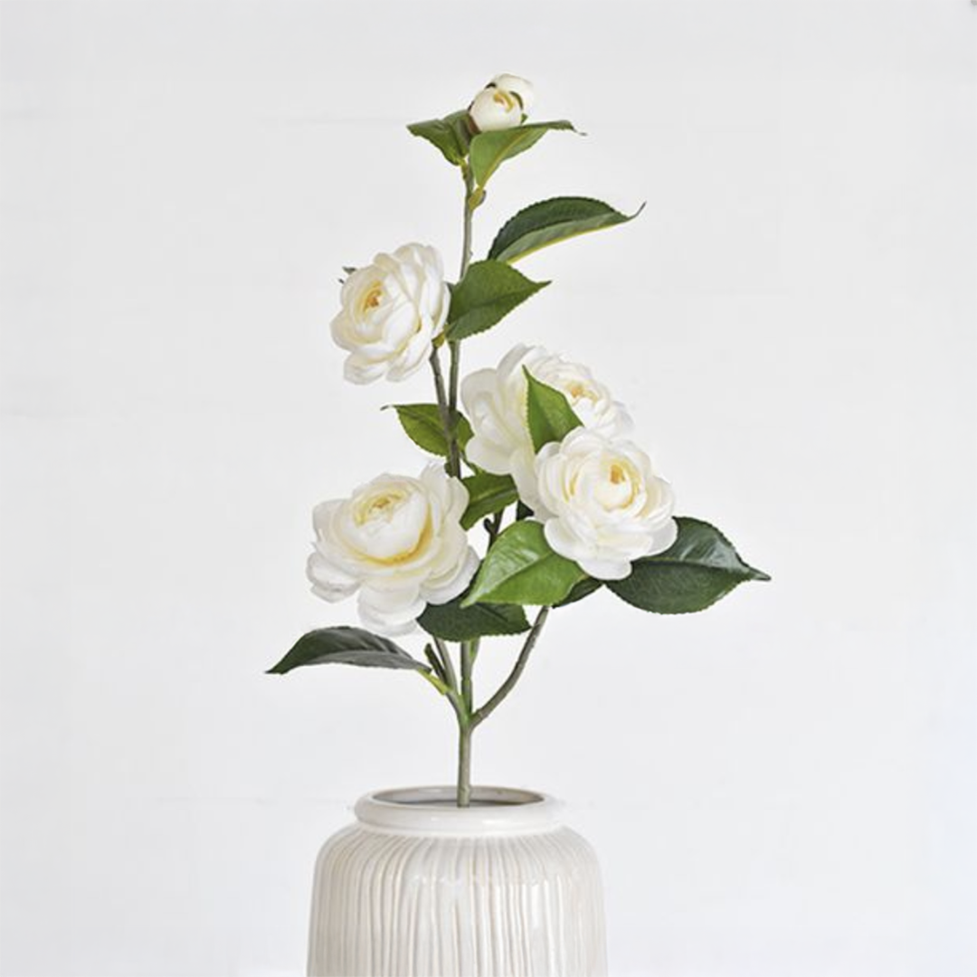 Camellia Flower Stems