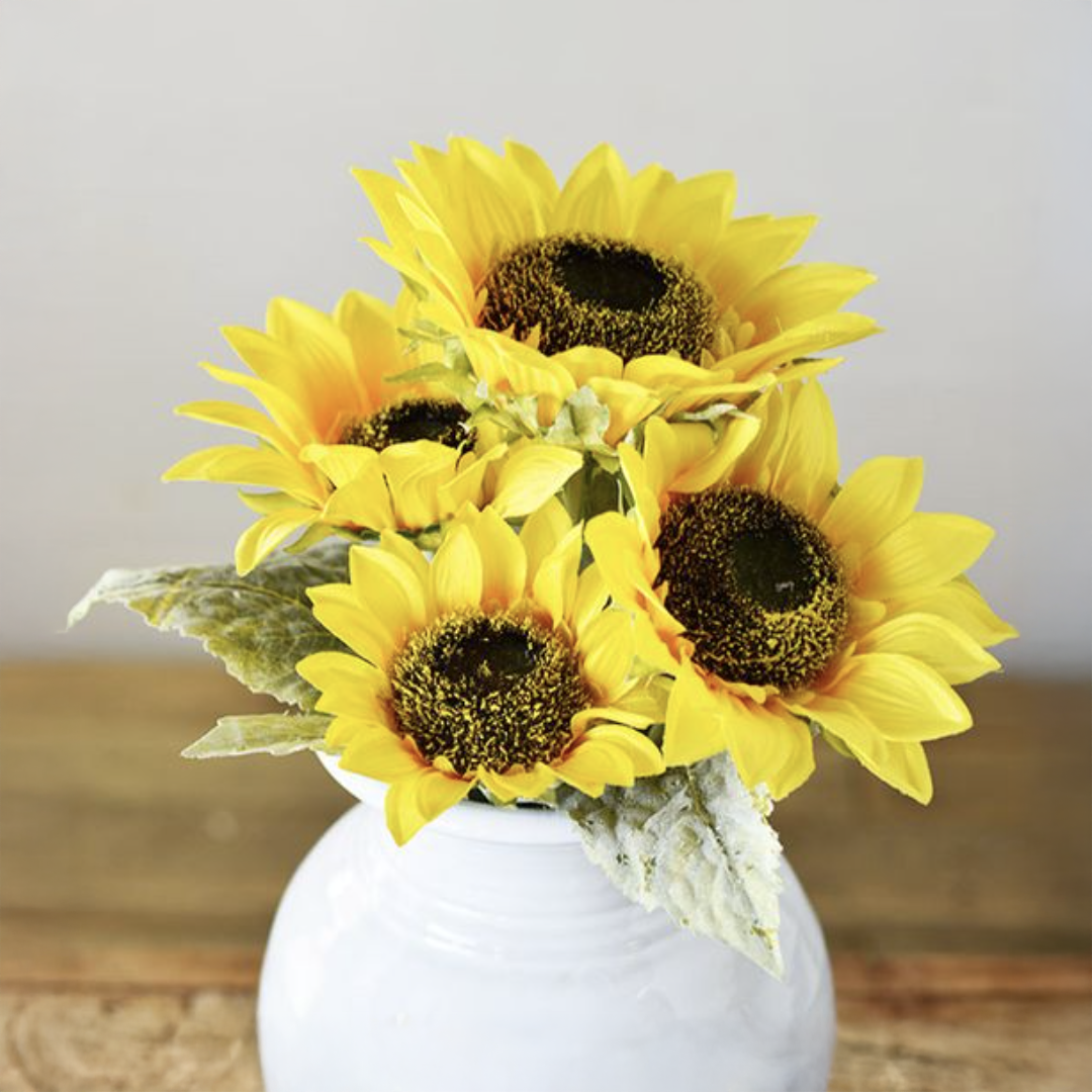 Sunflower Stem