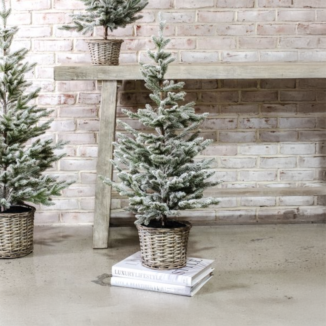 Snowy Tree In Basket