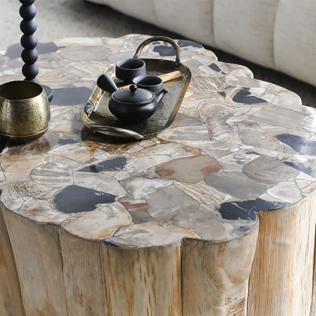 Norwest Petrified Wood Coffee Table