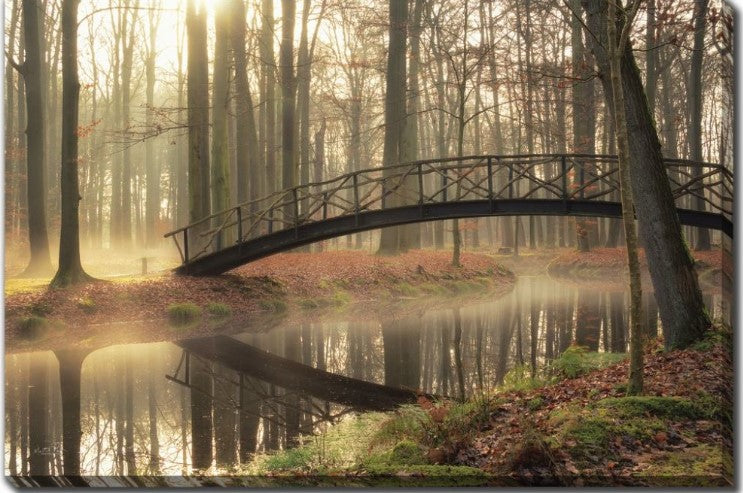 Bridge Over Trouble Waters