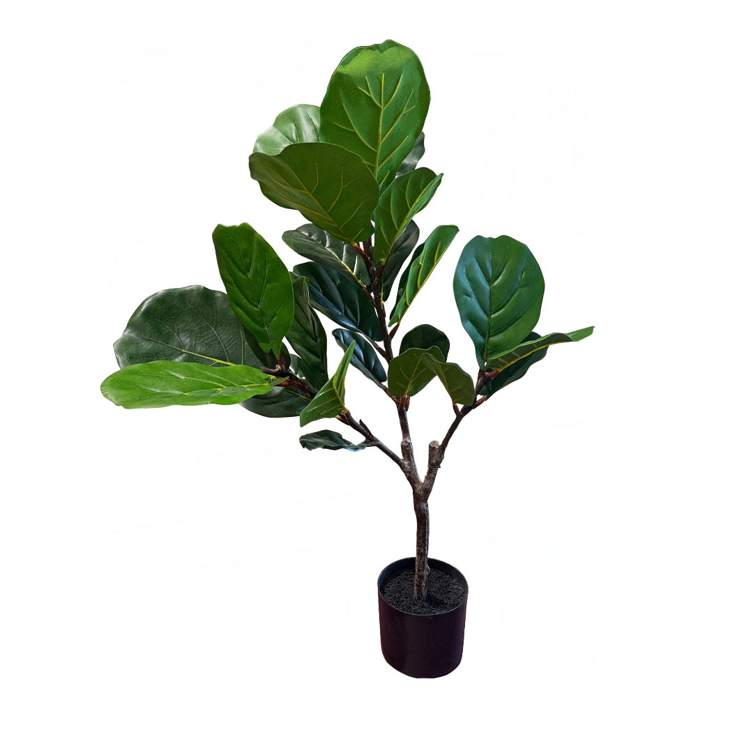 Fiddle Leaf Tree - 35 Inches