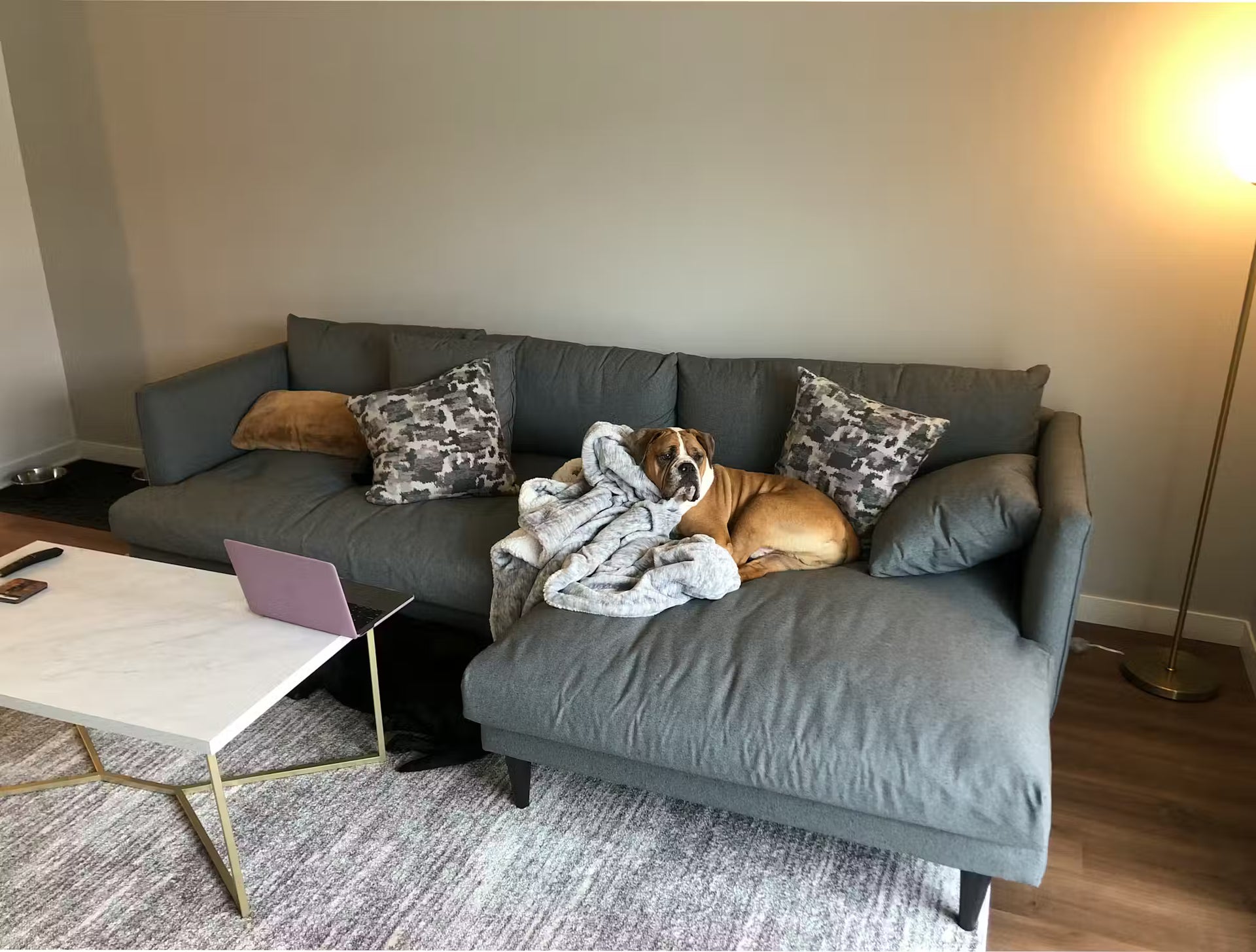 Gray sectional sofa in a modern living room